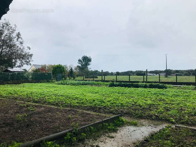 Terrain à LA CHAPELLE-DES-MARAIS