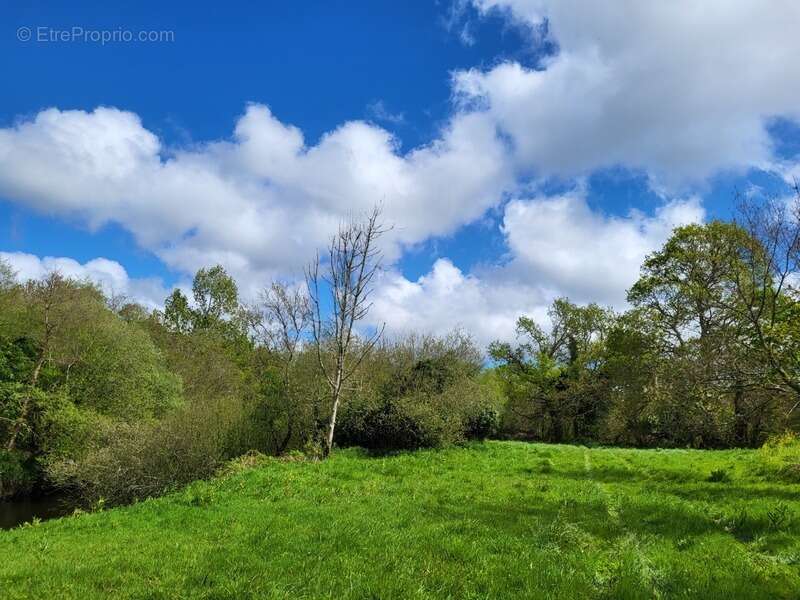 Terrain à LANNION