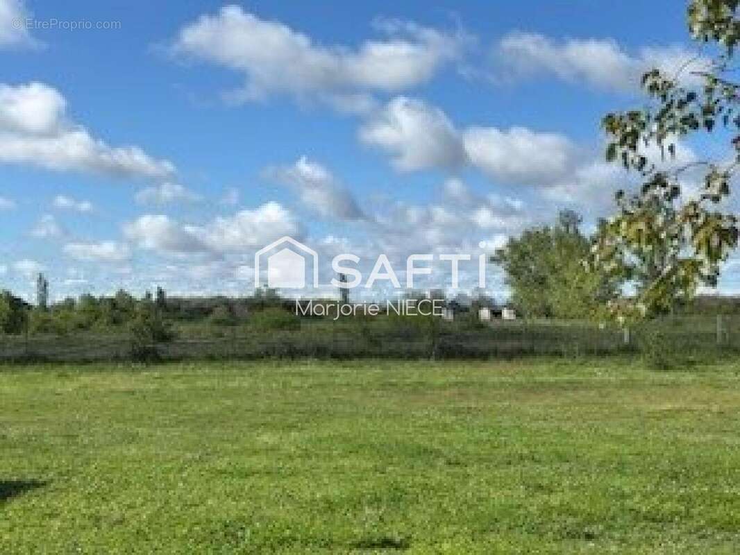 Photo 9 - Maison à LAMASQUERE