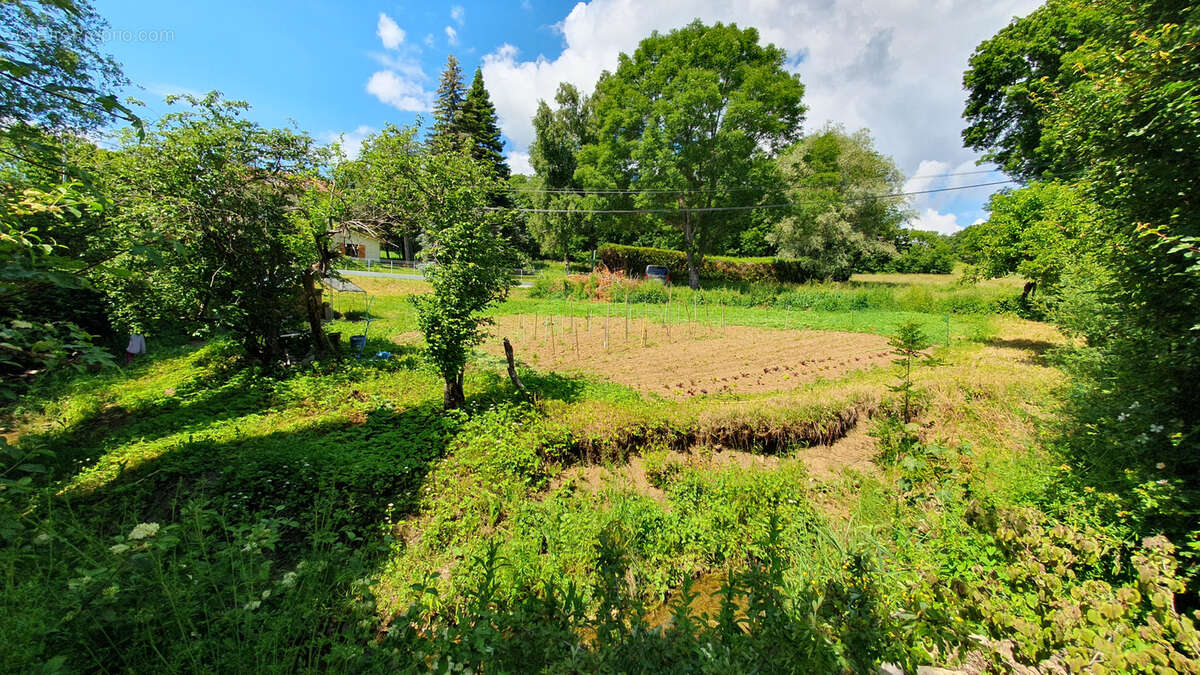 Maison à LA FREISSINOUSE