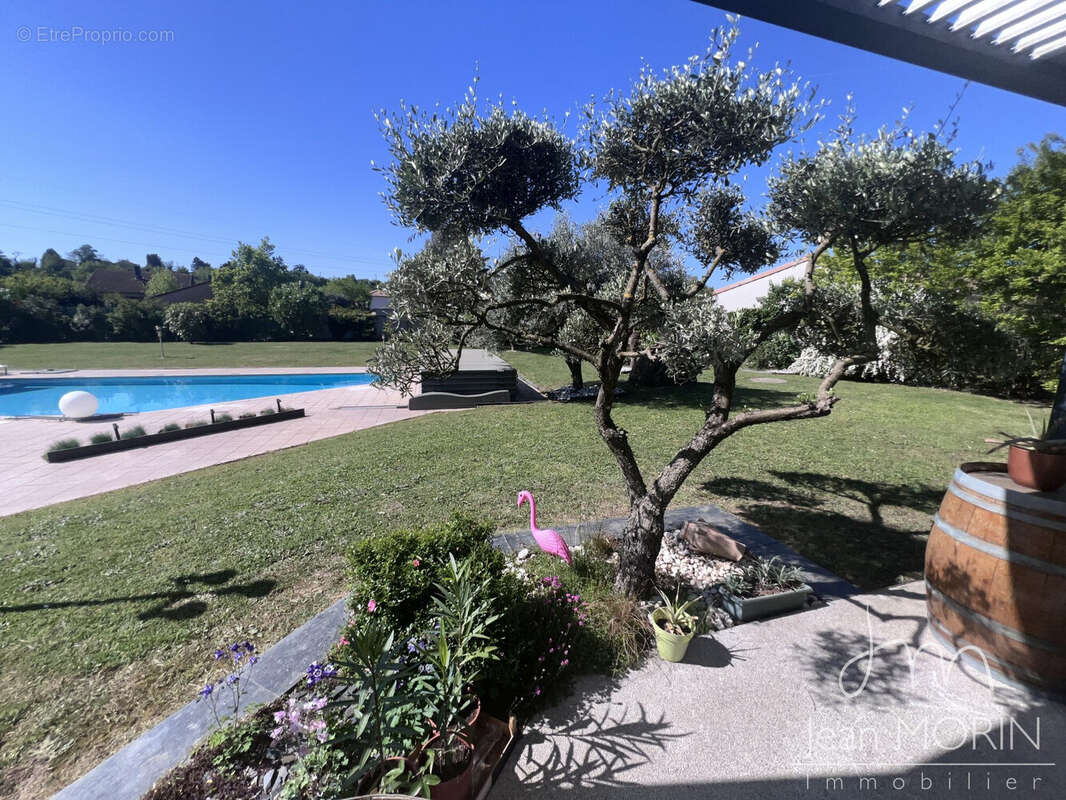 PISCINE 12m - Maison à BOURG-DE-PEAGE