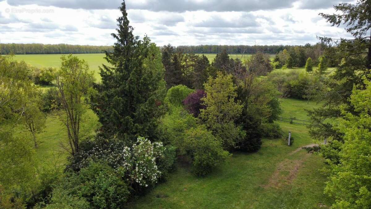 Domaine rare & isolé sur 10 hectares au milieu des champs - 1h30 de paris , parfait pour elevage, permaculture ou simplement viv - photo 2