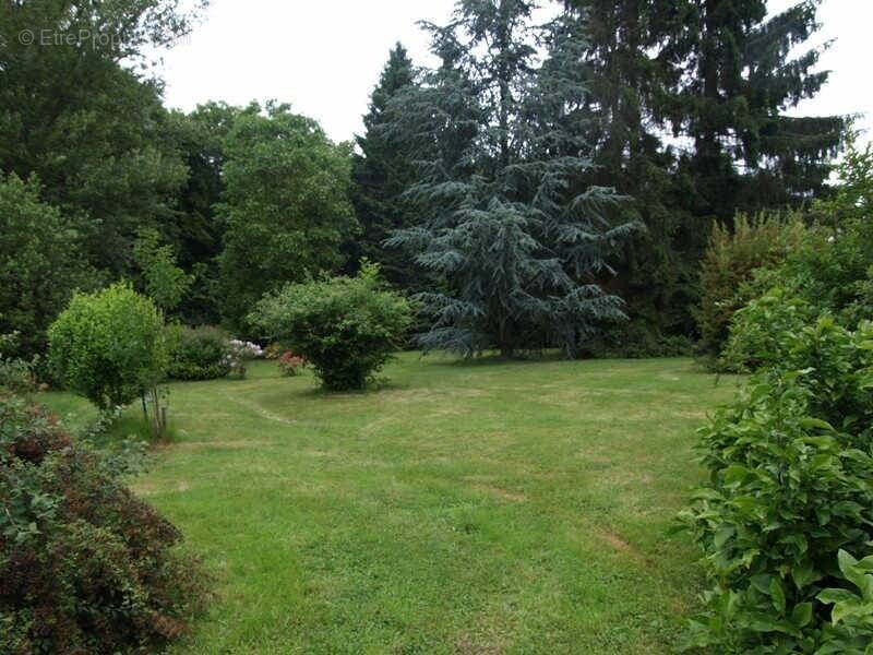 Terrain à DEVILLE-LES-ROUEN