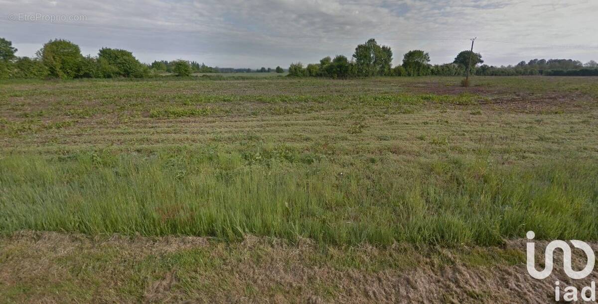 Photo 1 - Terrain à BONNETABLE