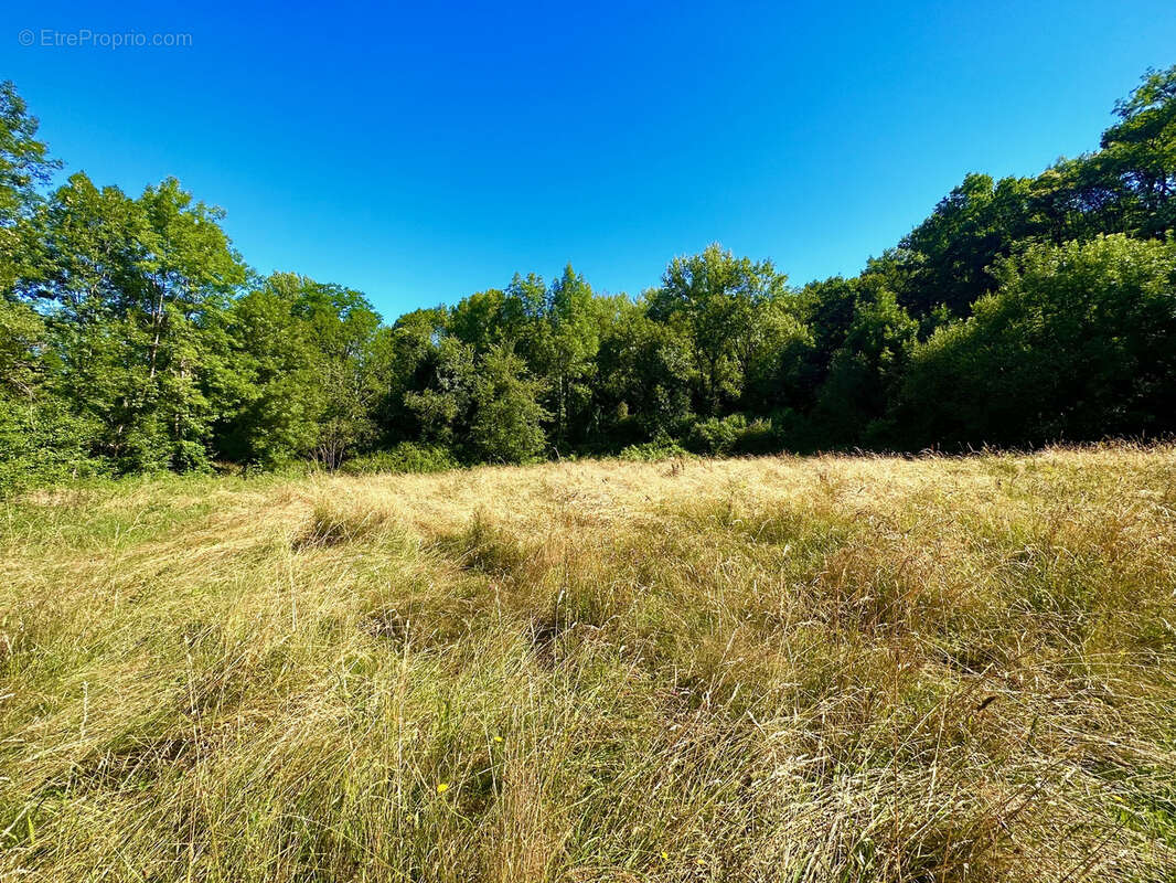 Terrain de 2789 m2 dont 800 m2 constructible - photo 2