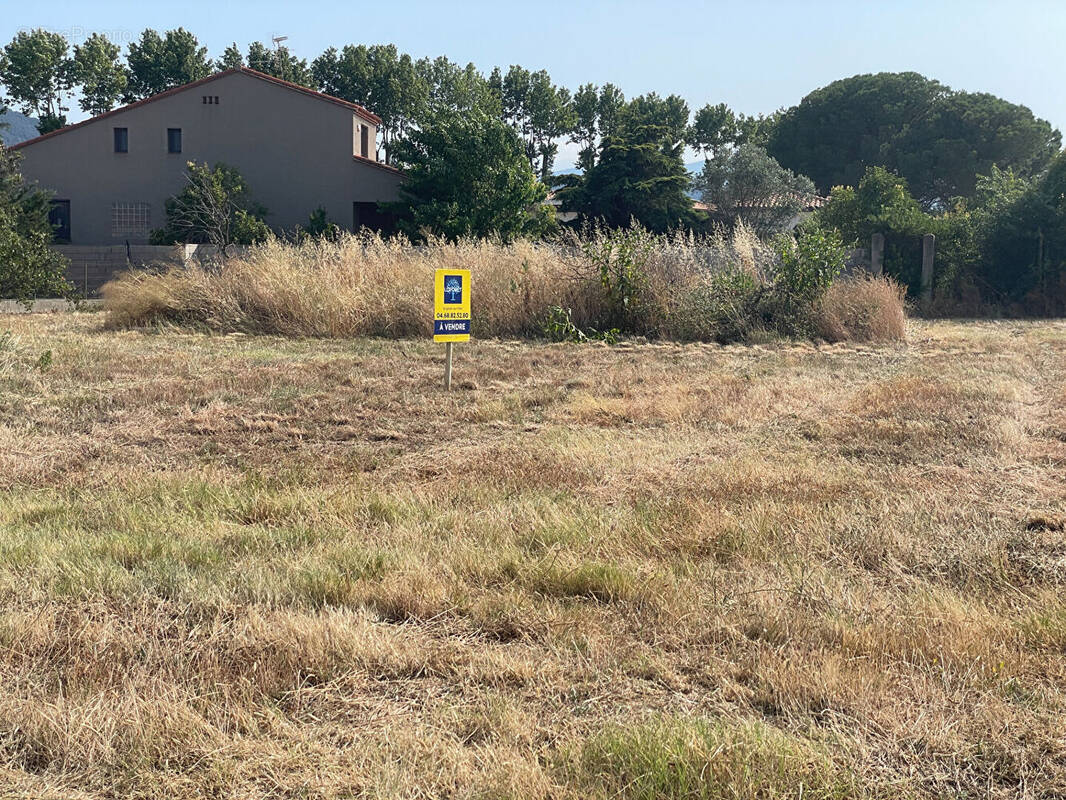 Terrain à MONTESQUIEU-DES-ALBERES