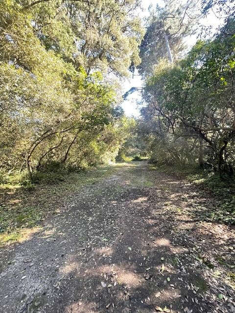 Terrain à NOIRMOUTIER-EN-L&#039;ILE
