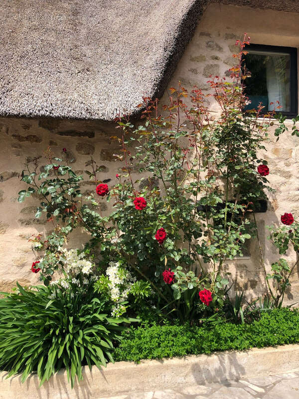 Maison à SAINT-ANDRE-DES-EAUX