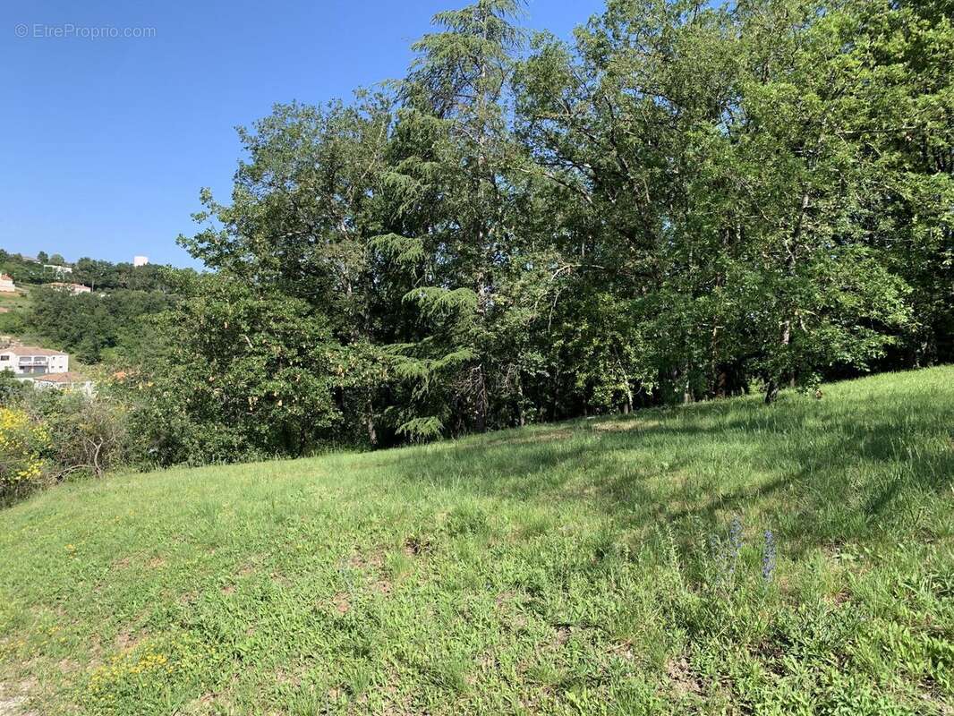 Photo 8 - Terrain à ALBI