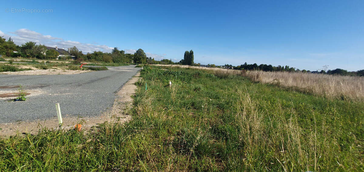 Terrain à LA MENITRE