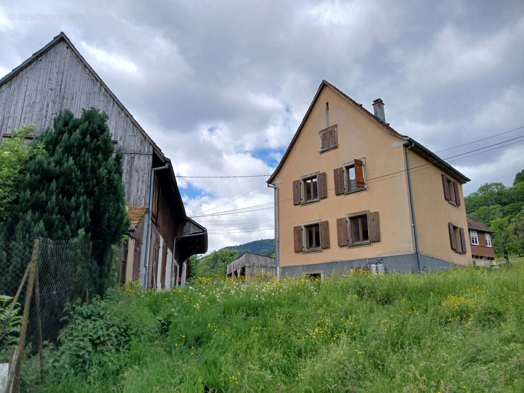 Maison à SONDERNACH