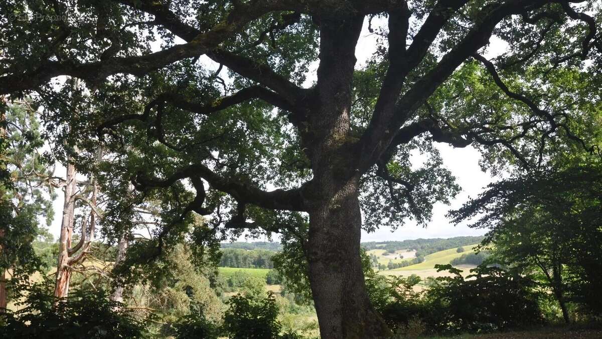 Maison à AUBETERRE-SUR-DRONNE