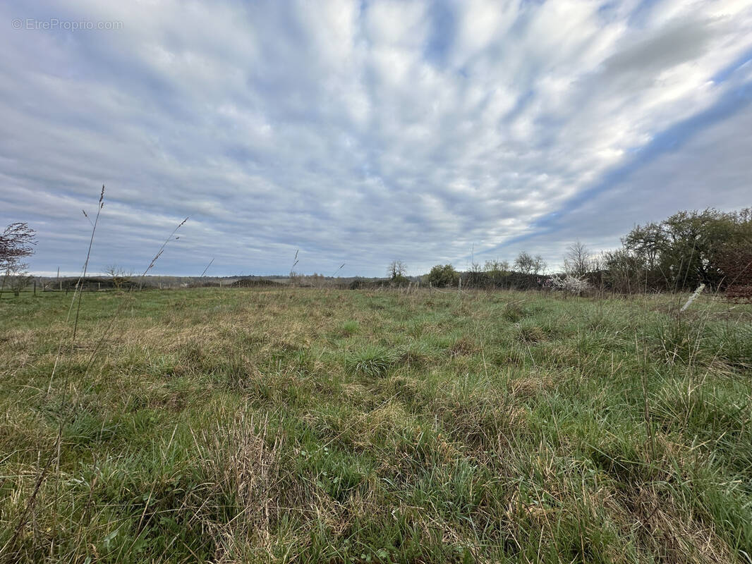 Terrain à CHENAUD