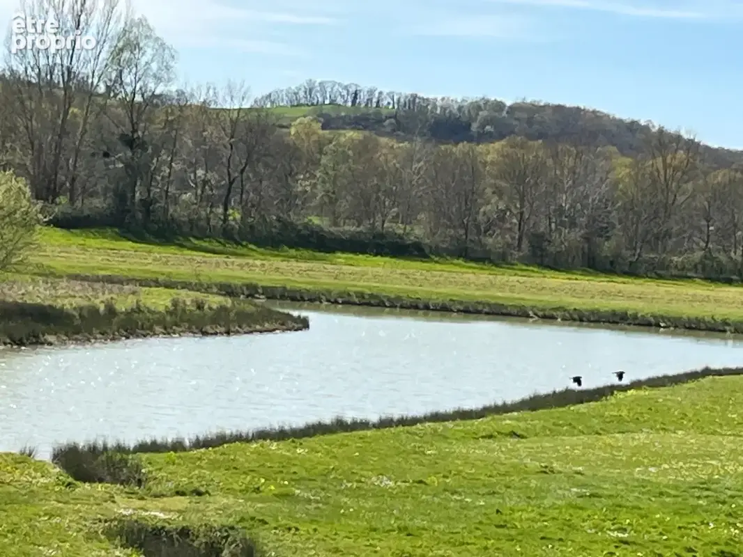 Élégant château du XIXᵉ siècle sur 70 ha, vue panoramique sur les Pyrénées, à 1h30 de Toulouse-Blagnac - photo 21