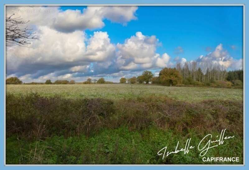 Terrain à SAINT-SATURNIN