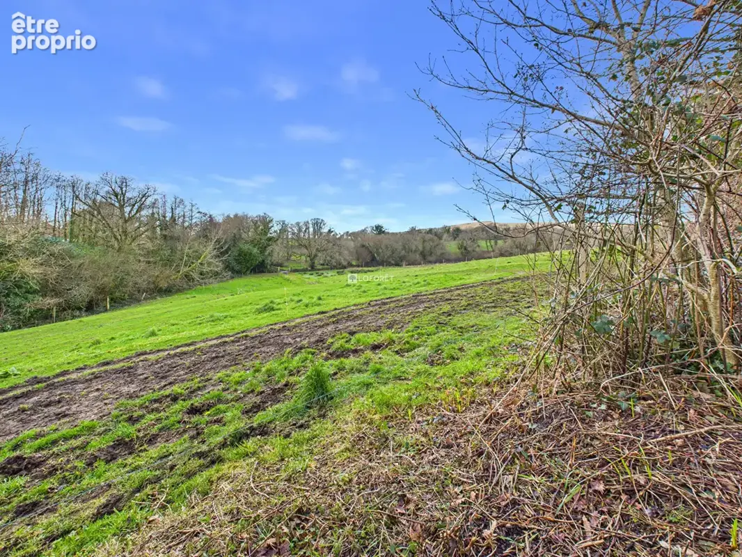 Propriété d'exception  - Plogonnec - photo 11