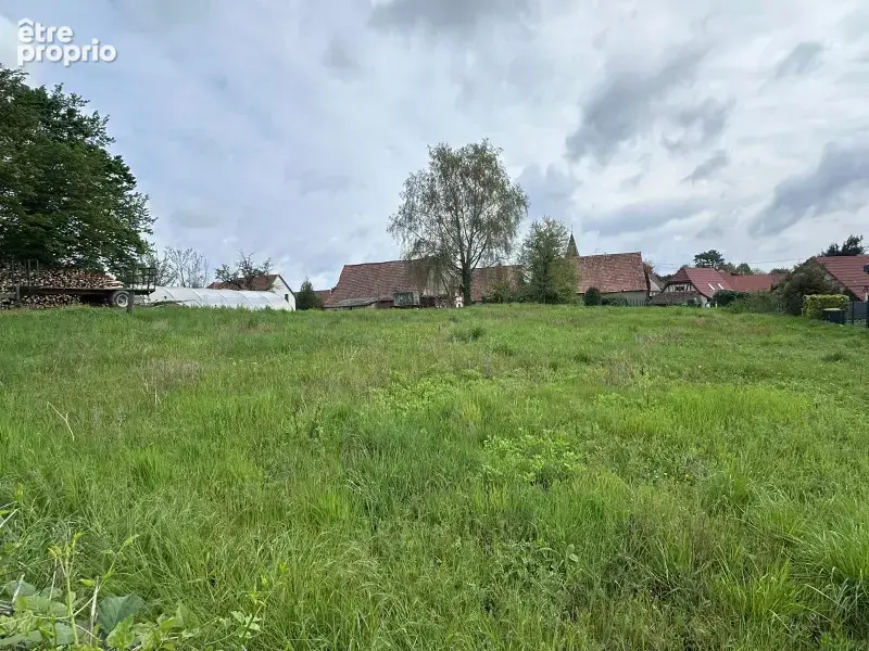 Terrain à ESCHENTZWILLER