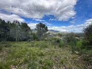 Terrain à PEYMEINADE