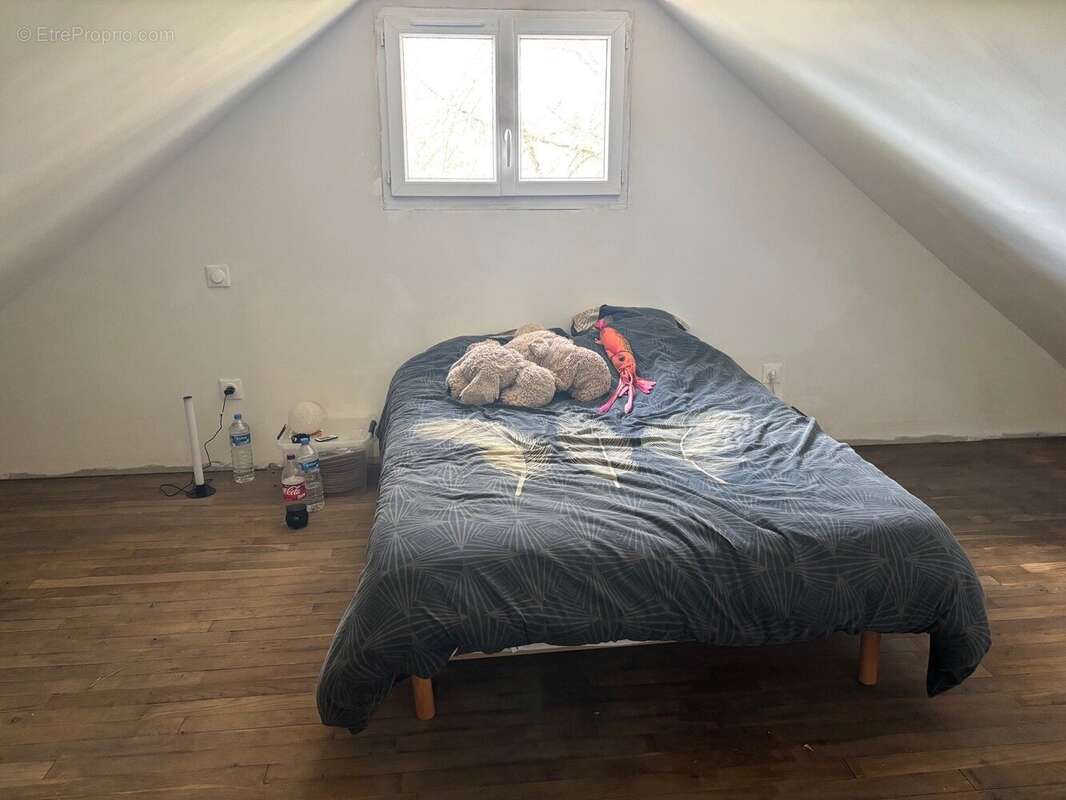 Maison - 4 chambres, Jardin 14,840 m2 - photo 3