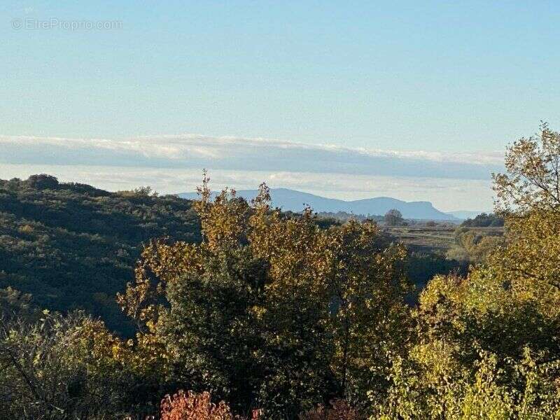 Photo 7 - Terrain à LE PIN