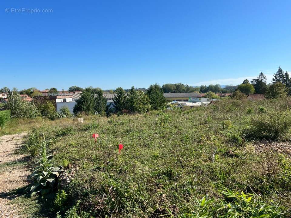 Terrain 370 m² à Chalamont  - photo 2