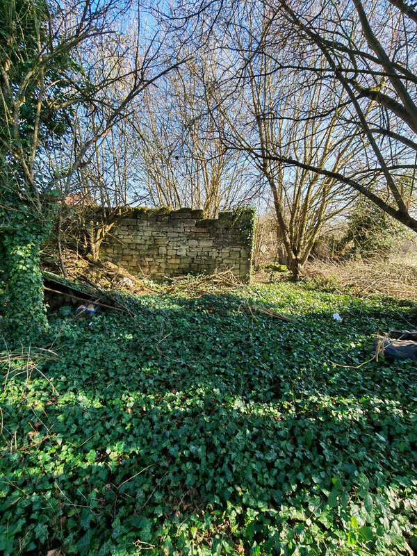 Terrain à COLLIGIS-CRANDELAIN