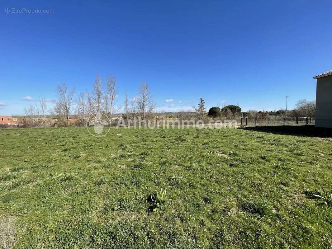 Vente Terrain Gragnague(31380) 146 000ï¿œ - photo 3