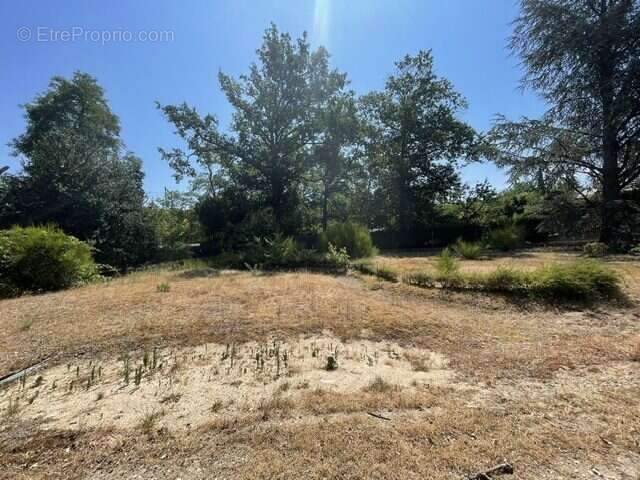 Terrain 917 m² à Monts  - photo 2