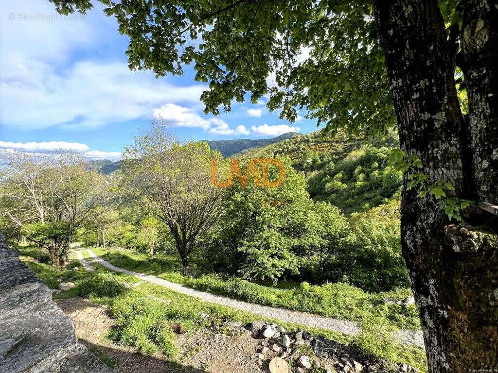 Propriété 54 hectares, rare en Ardèche - photo 6