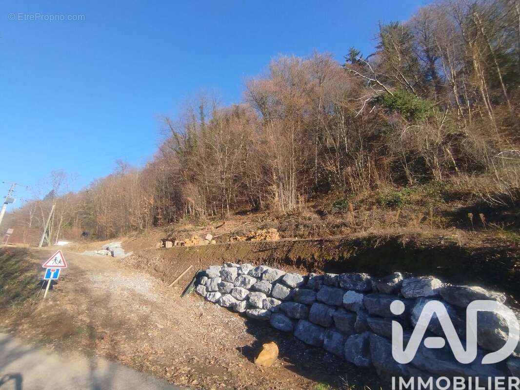 Photo 9 - Terrain à CESARCHES