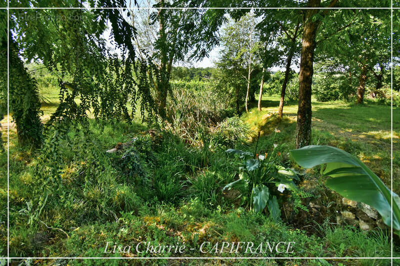 Maison à COURRENSAN