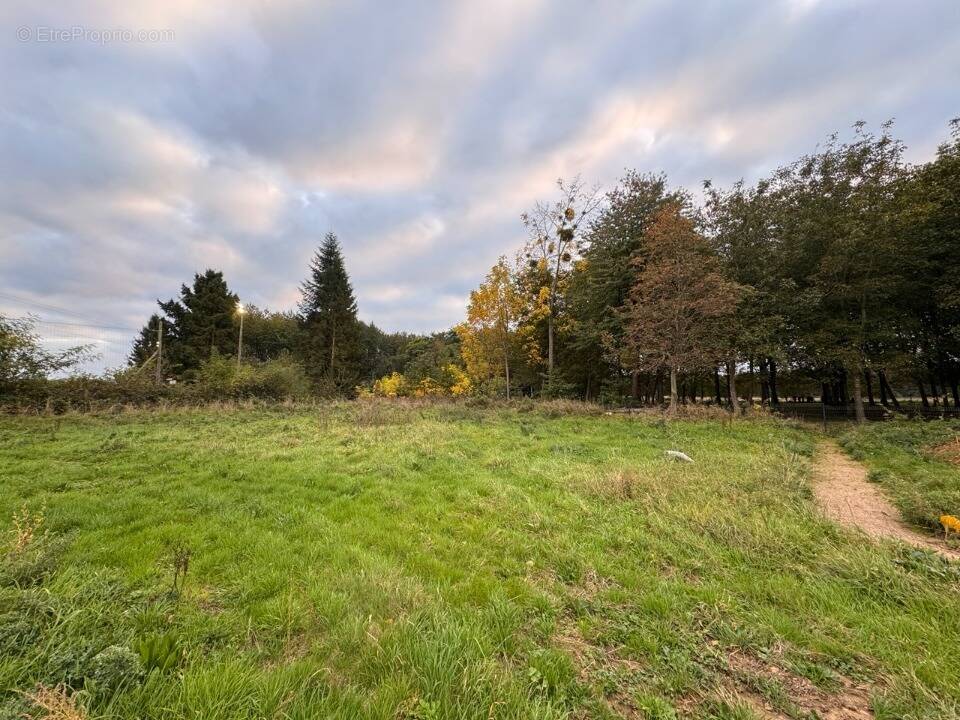 Terrain à SAINT-JEAN-DU-CARDONNAY