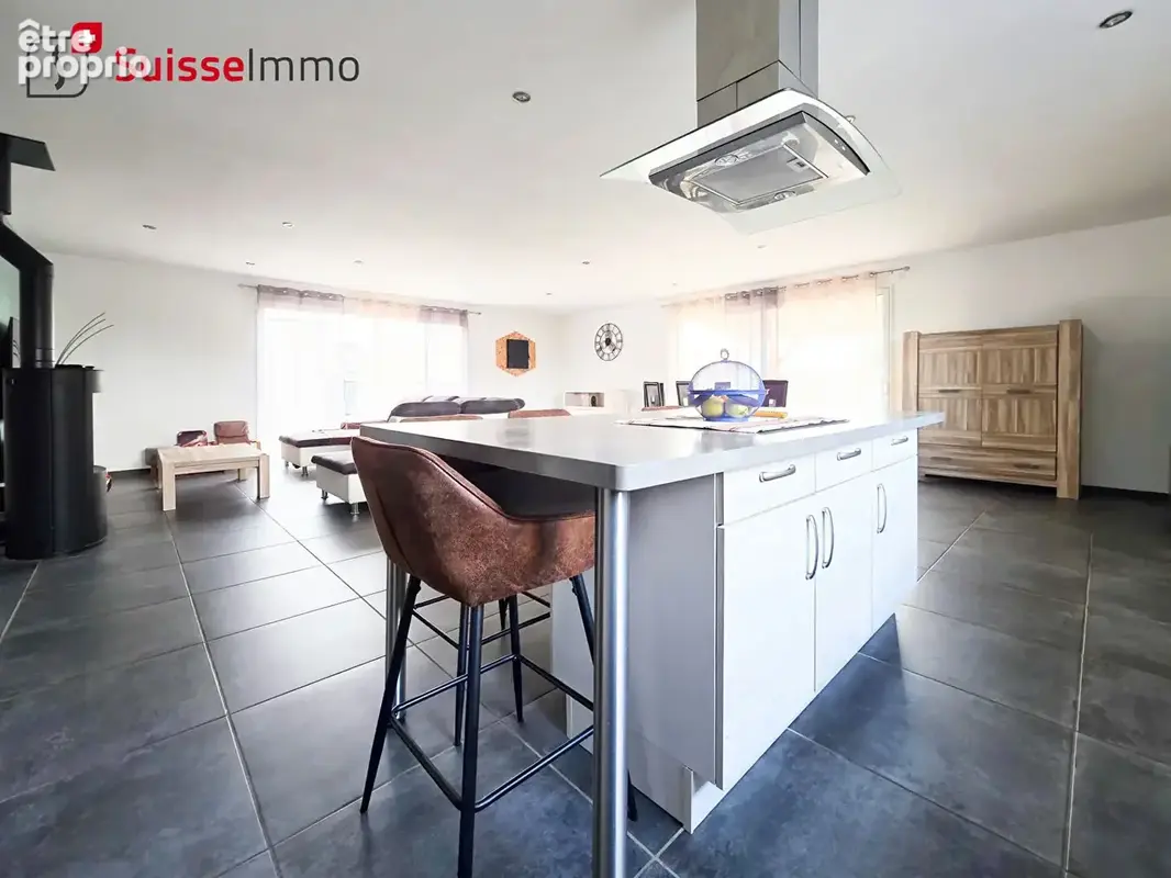 Maison d'architecte L Isle Sur Le Doubs 6 pièce(s) 164 m2 - photo 6