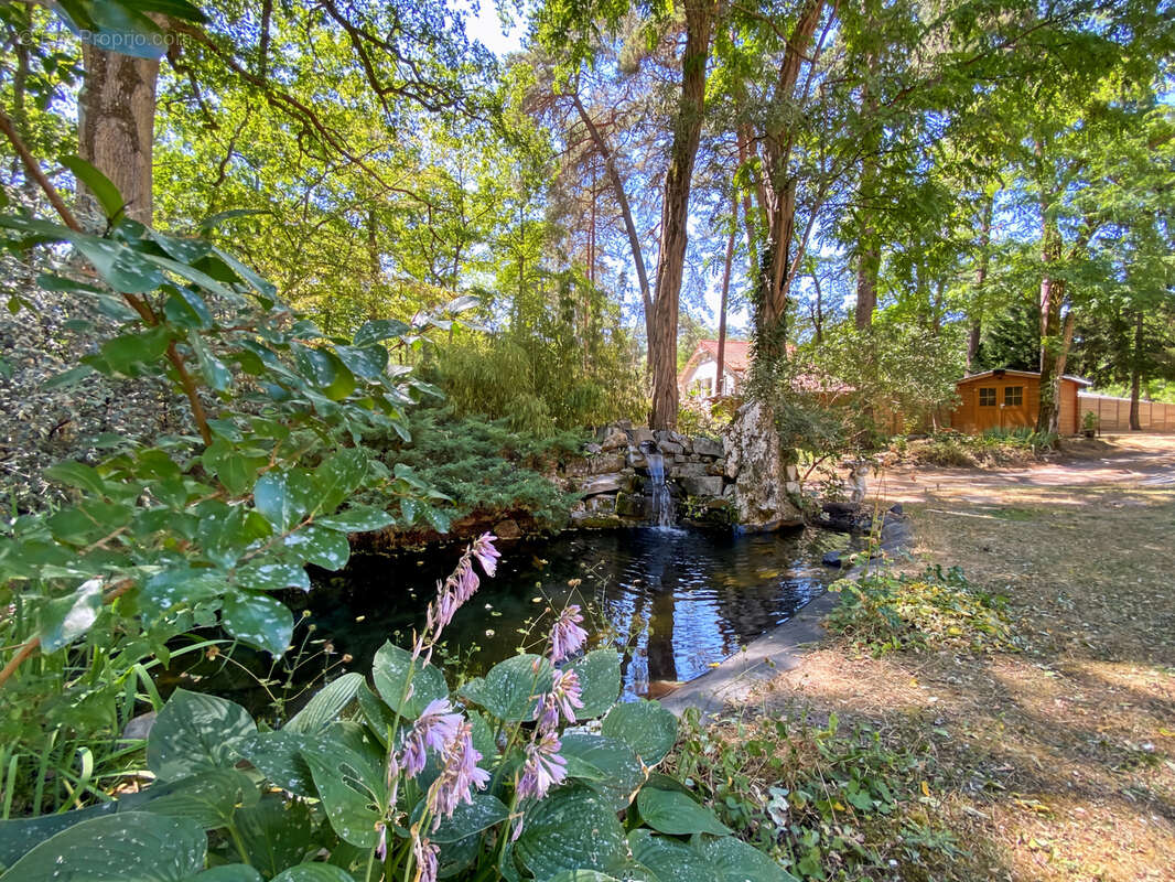 NOISY SUR ECOLE - Propriété au coeur de la forêt des Trois Pignons - photo 2