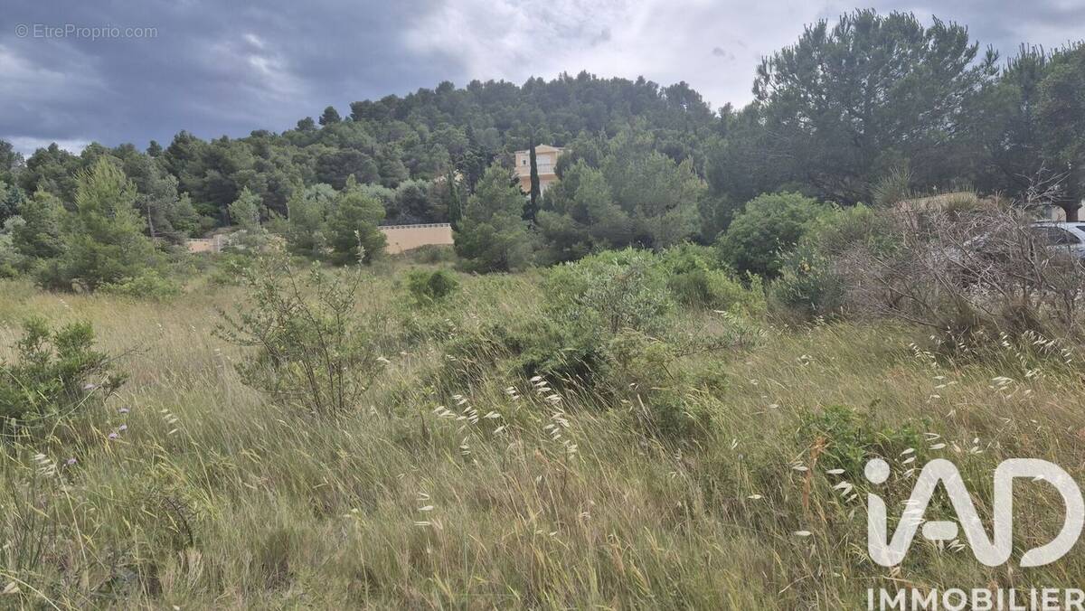 Photo 1 - Terrain à ROQUEFORT-DES-CORBIERES