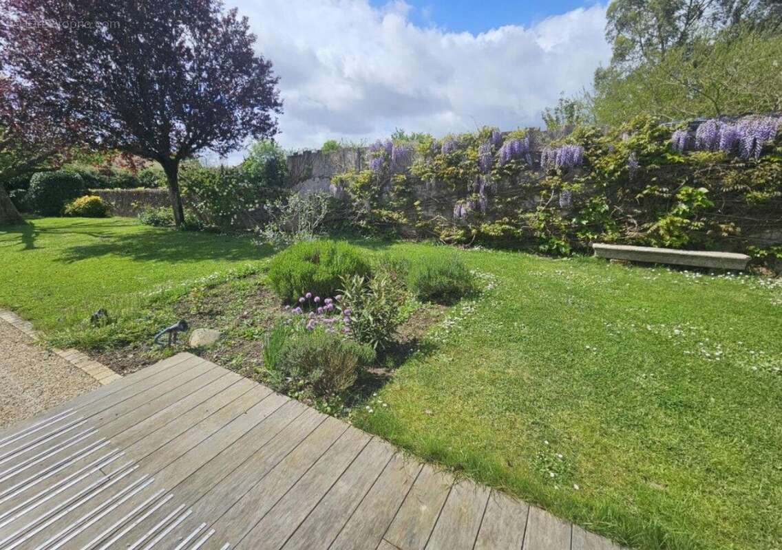 Photo 3 - Commerce à MONTAIGU