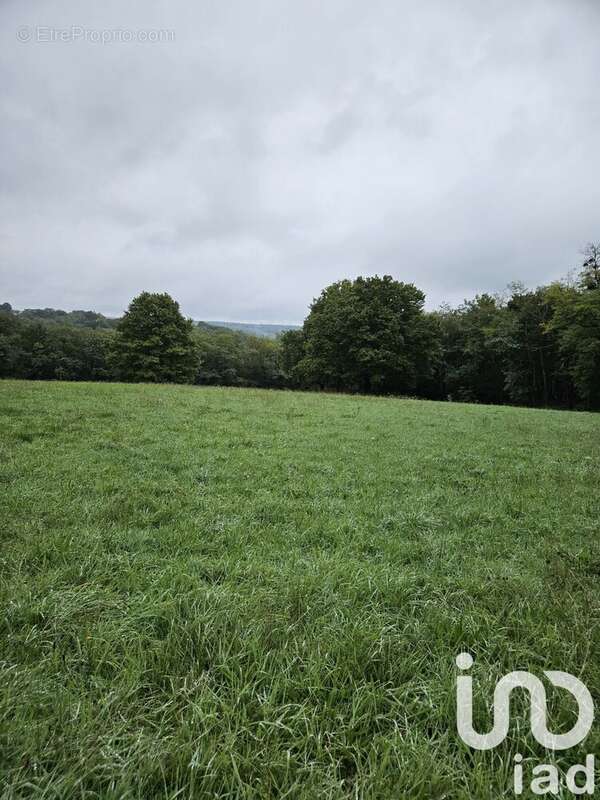 Photo 2 - Terrain à VILLENEUVE-SUR-YONNE