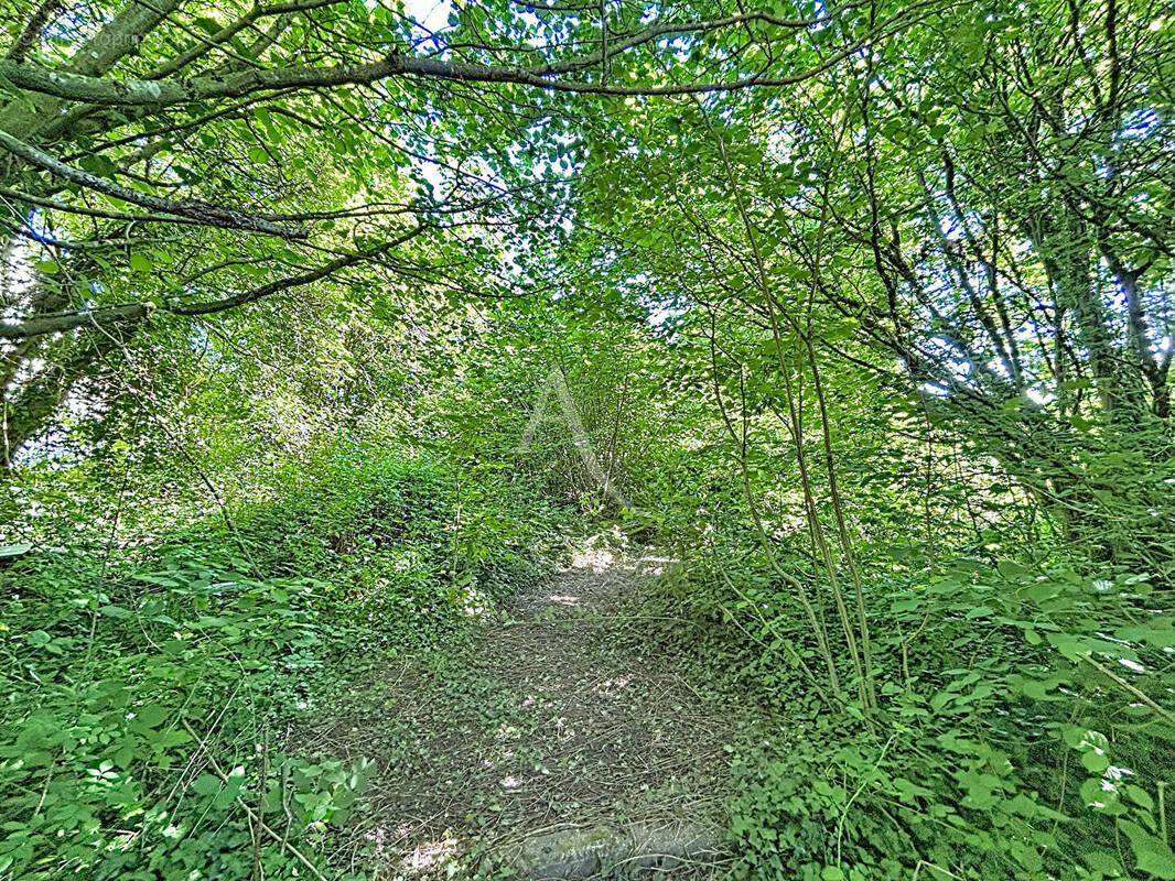 Terrain à RUBELLES