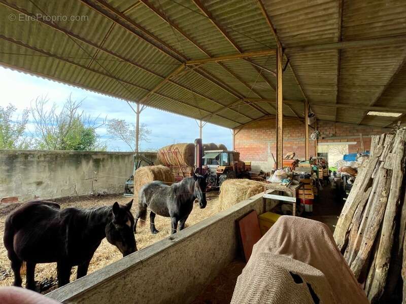 Maison à SAINT-VINCENT-LESPINASSE