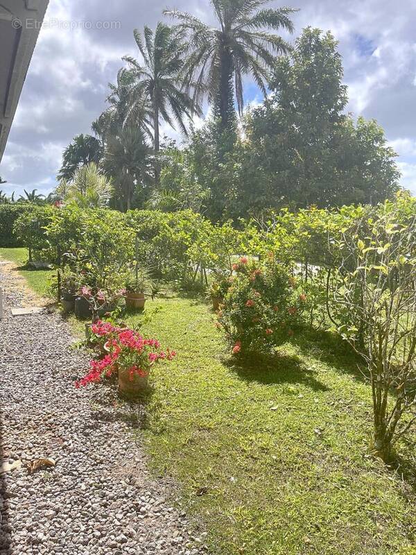 Photo 1 - Appartement à FORT-DE-FRANCE