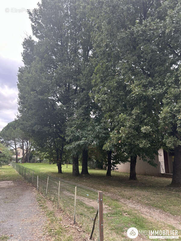 Terrain à SAINT-JUERY