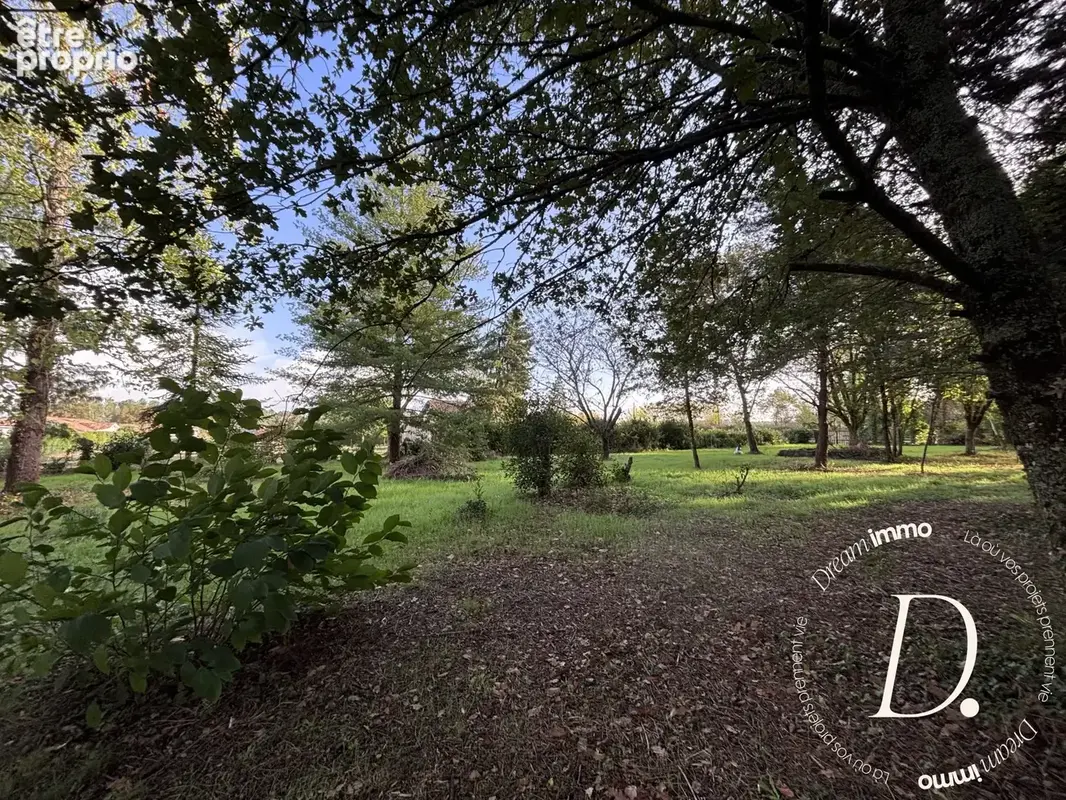 Terrain 2 500 m² à vendre à Taller (40260) - photo 5
