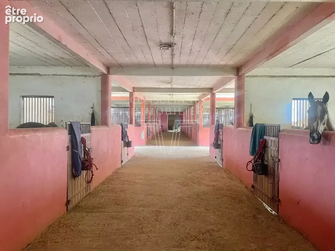 A 8 min de lisieux - haras de 11 ha - photo 17