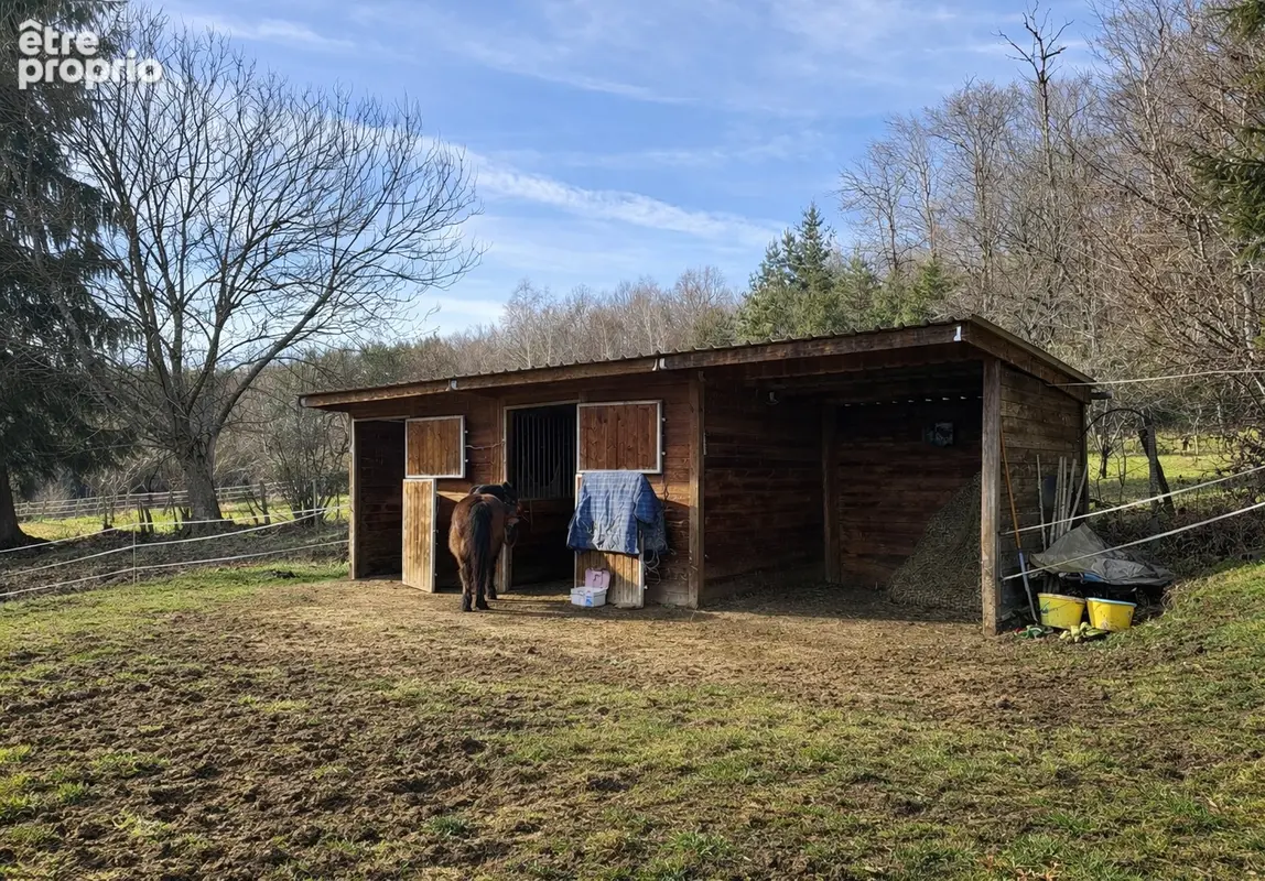 Maison avec boxes sur 1,6 hectare - photo 4