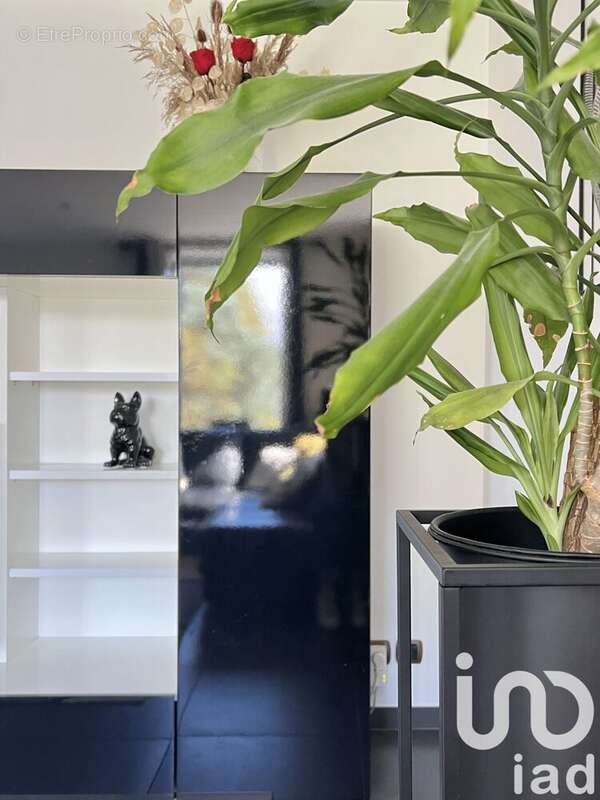 Photo 4 - Appartement à MOIRANS