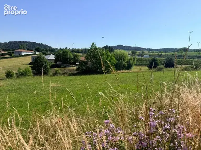 Terrain 650 m² à La Chapelle-D'aurec  - photo 3
