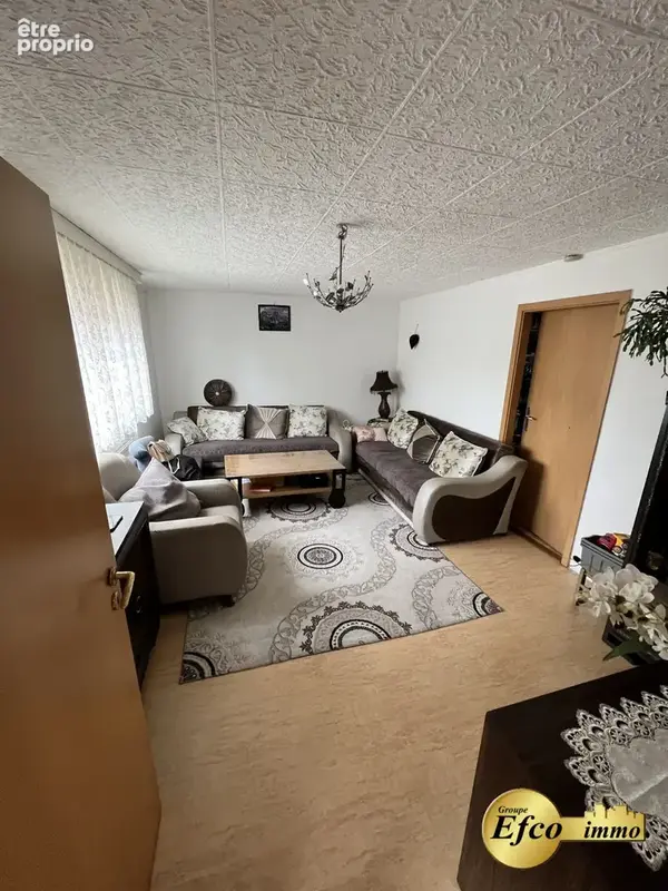 Maison 16 pièces 337 m² à vendre à Saint-Louis (68300) - photo 5