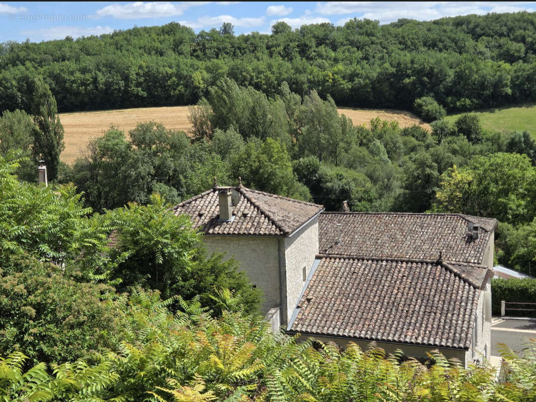 Un véritable havre de paix au cœur d'un village du Quercy. - photo 26
