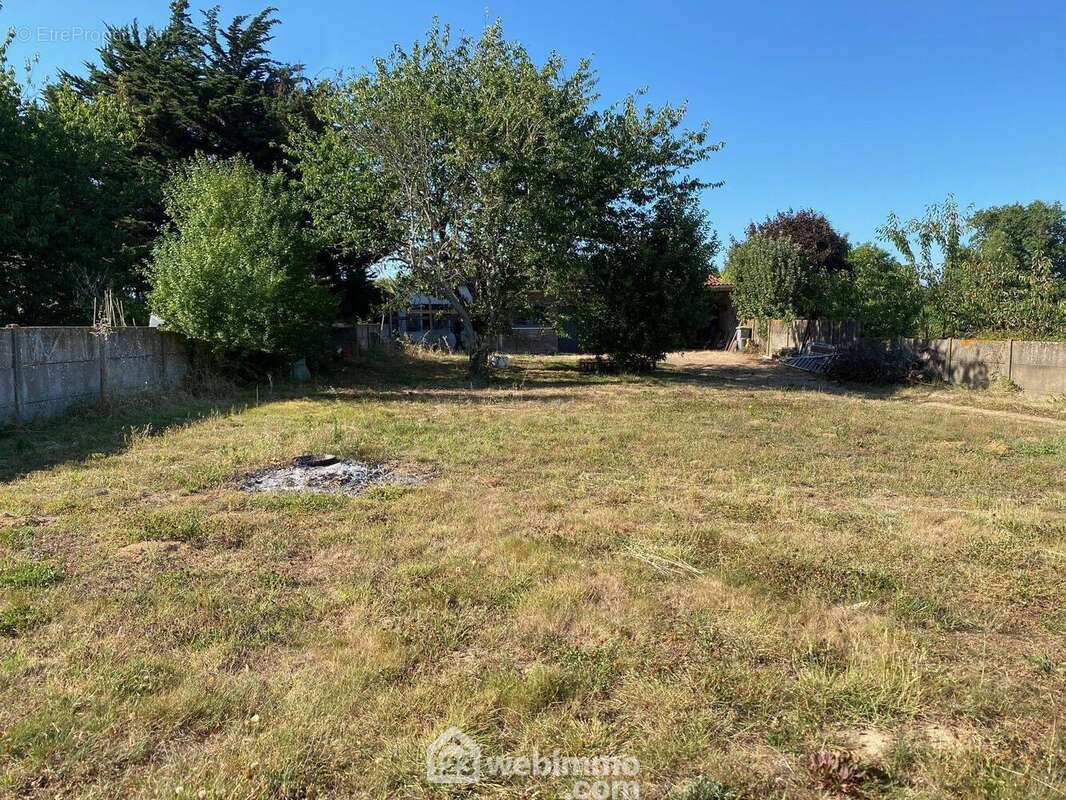 Terrain - Terrain à SAINT-HILAIRE-LA-FORET