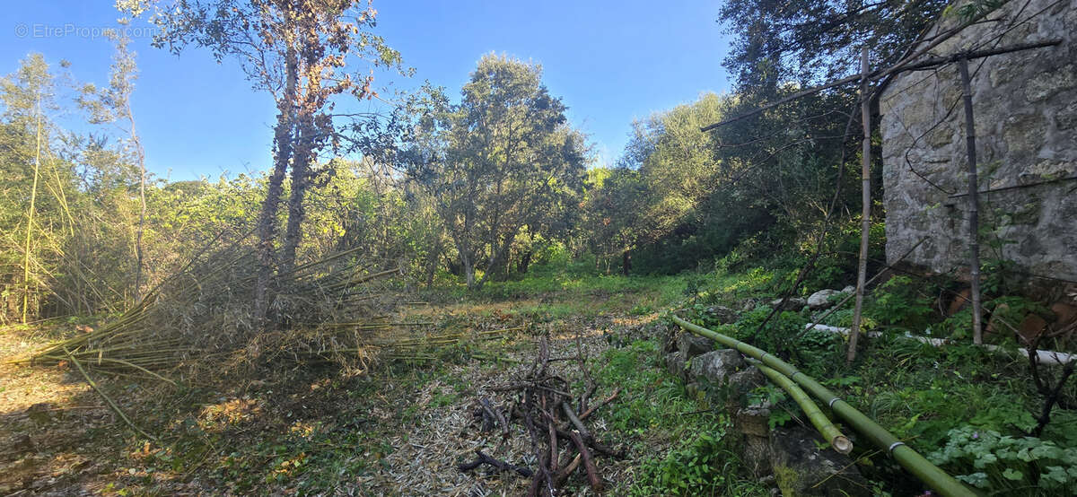 Terrain à OLMETO